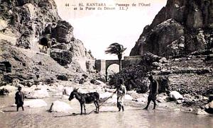 EL KANTARA - PORTE DU DESERT - PASSAGE DE L'OUED